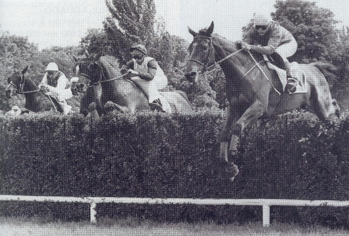 Ucello II prix la Prichole.JPG