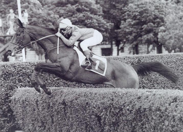 Ucello II prix la Prichole_2.JPG