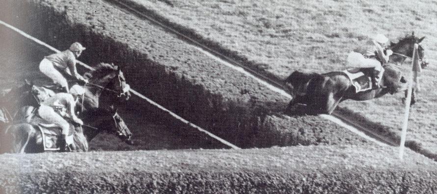 Ucello II prix Orcada.JPG