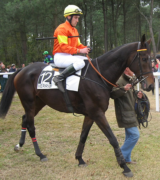 saumur-28octobre2007- Theobaldo.jpg