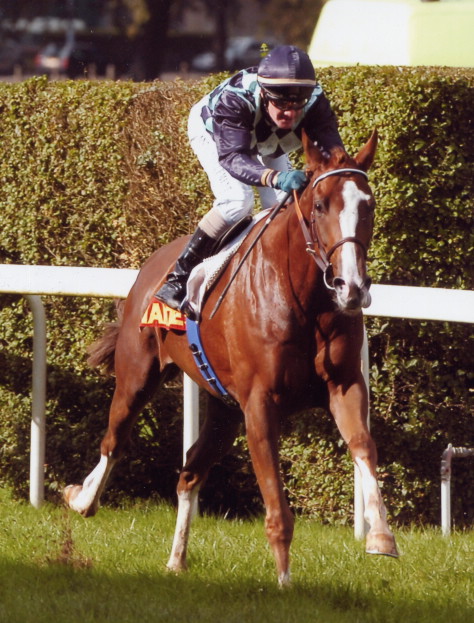 Ograndy Prix de L'Avenir 2005X.JPG