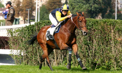 leplessis1012.jpg