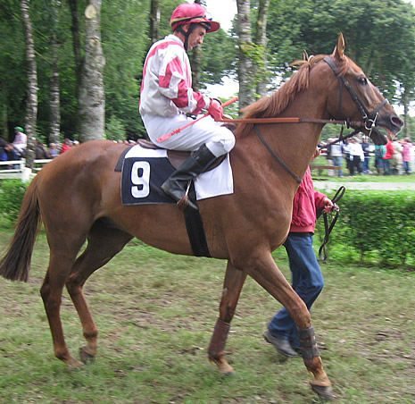 corlay-1juillet Macrindeneuillac.jpg