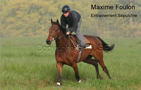 Maxime Foulon_3628_copy.jpg