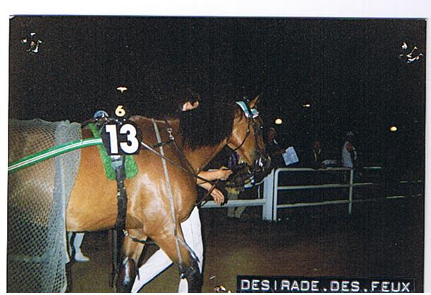 desirade des feux.jpg