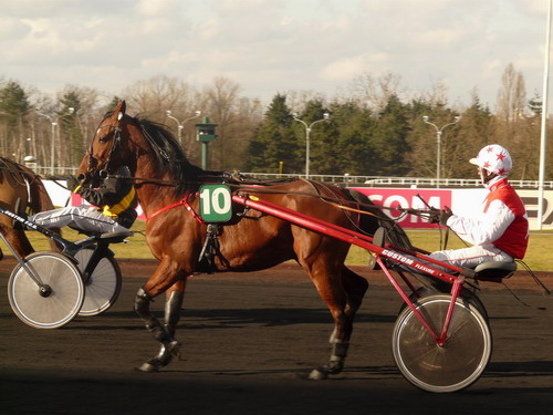 malicieux 500.jpg