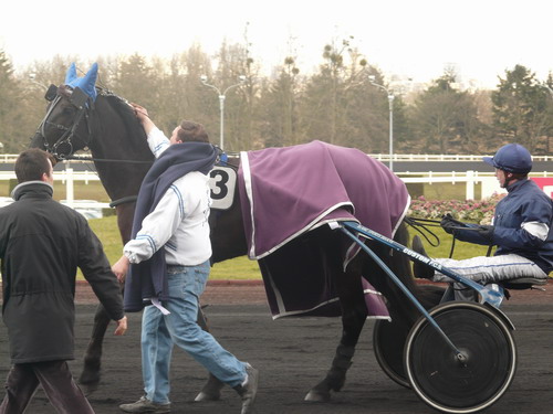 nouba du saptel.jpg