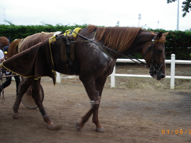 IMGP0480.jpg