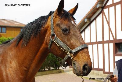 jeanbat0523.JPG