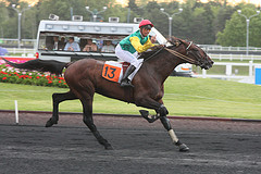 Pacha du Pont 7.jpg