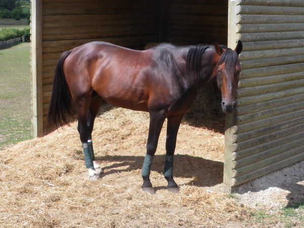 IMGP0139.jpg