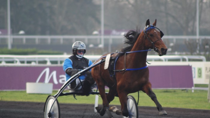 Timoko (6).JPG