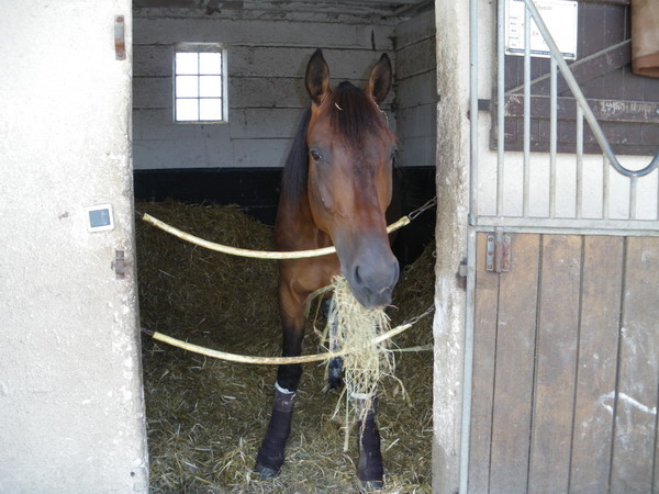 bazire et souloy 2013 001.jpg