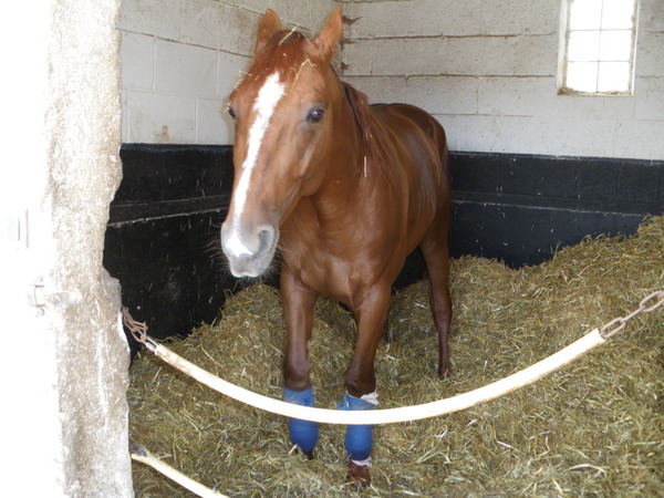 bazire et souloy 2013 002.jpg