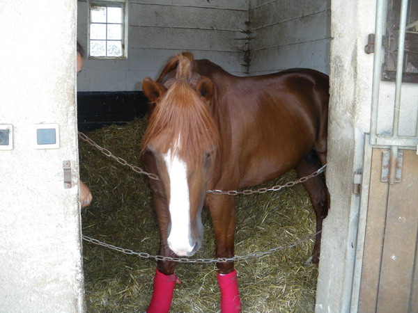 bazire et souloy 2013 003.jpg