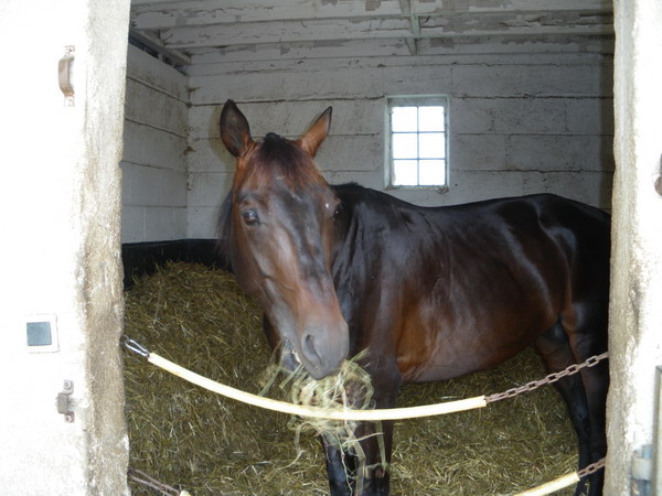 bazire et souloy 2013 005.jpg