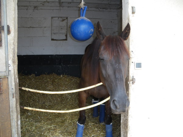 bazire et souloy 2013 006.jpg