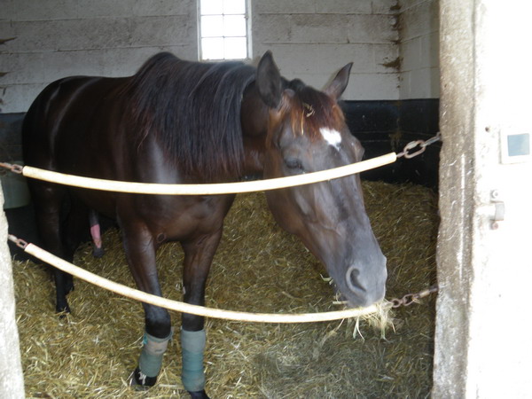 bazire et souloy 2013 007.jpg