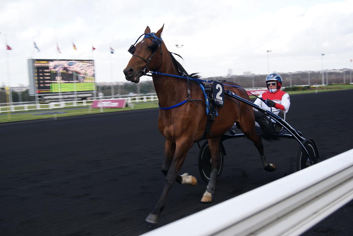 Timoko 01.jpg