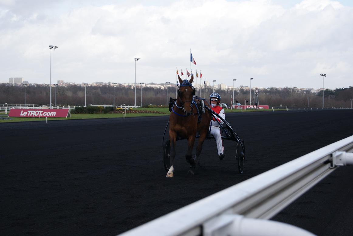 Timoko 02.jpg