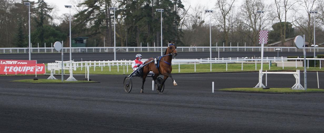 Timoko 03.jpg
