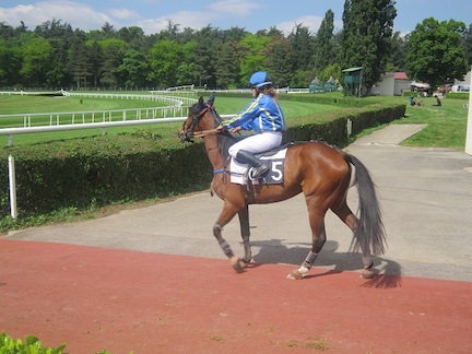 altessenormande040514f.jpg