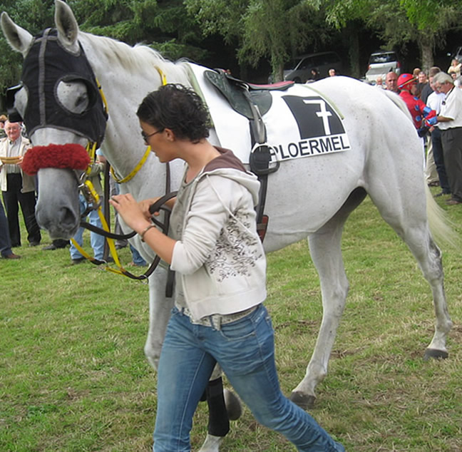 Look Collonges