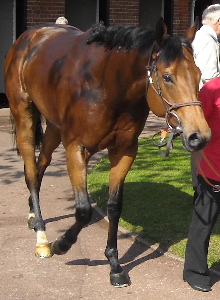 2000Guineas EQUIANO 1.jpg