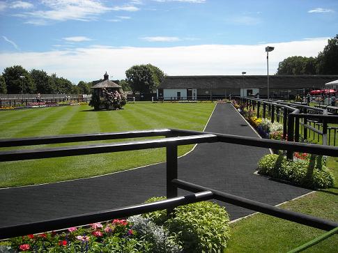 Parade ring 1.jpg