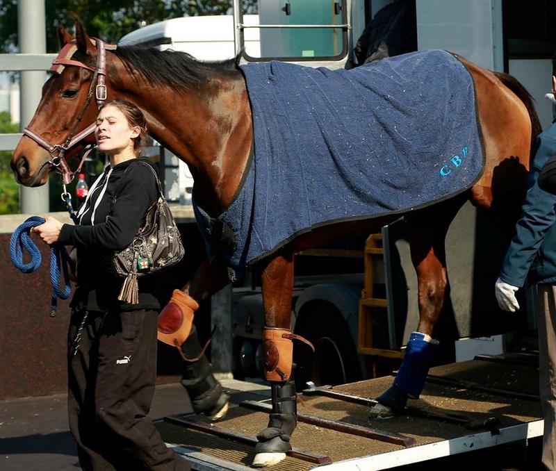 Cirrus des Aigles.jpg