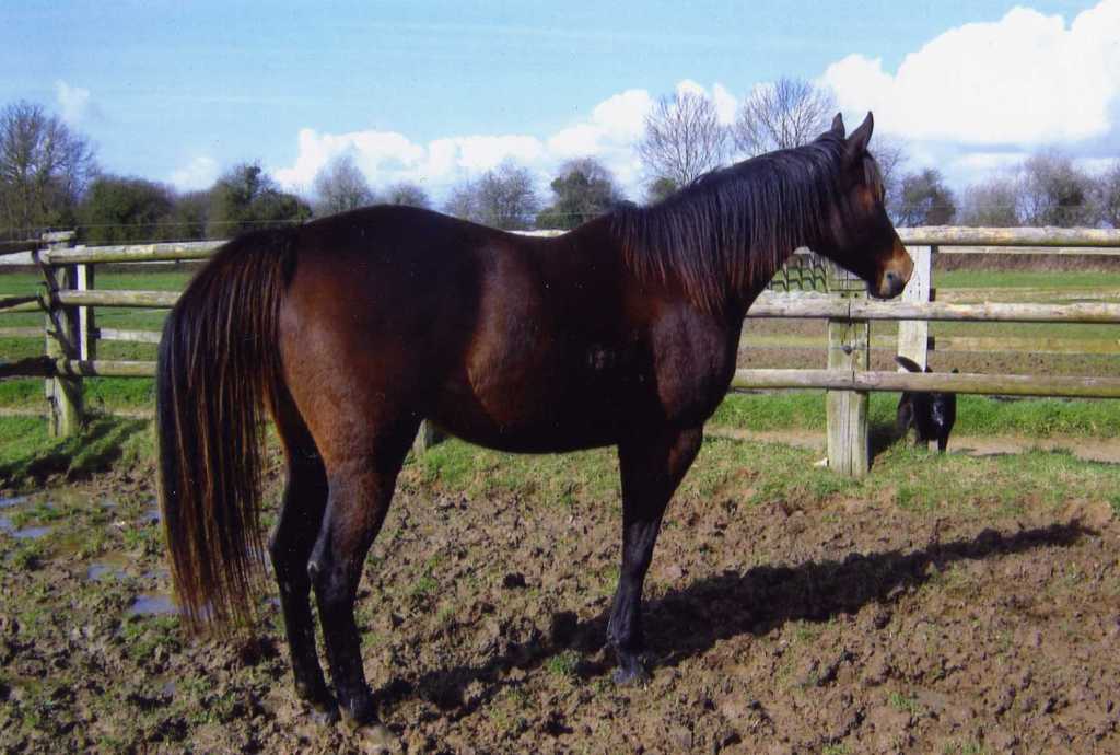 img028.jpg