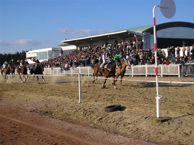 lutin rochelais victoire et rose blue 5 eme (Small).JPG