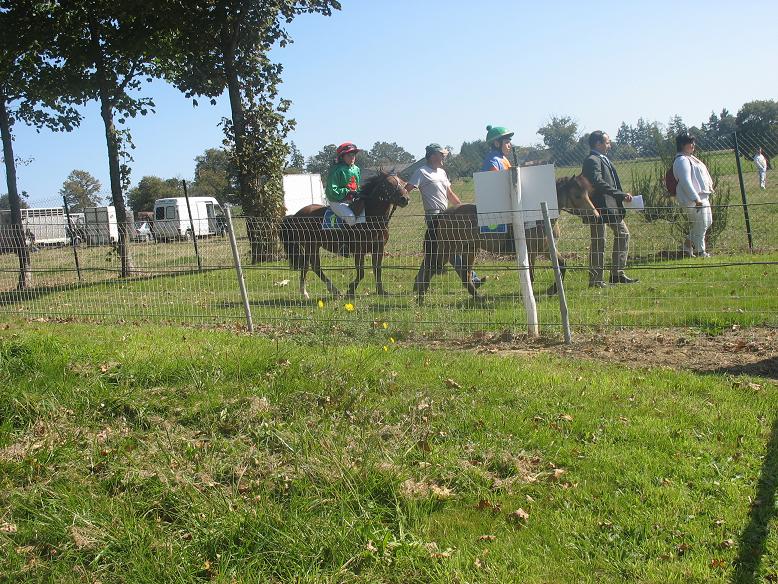 course de ponney.JPG