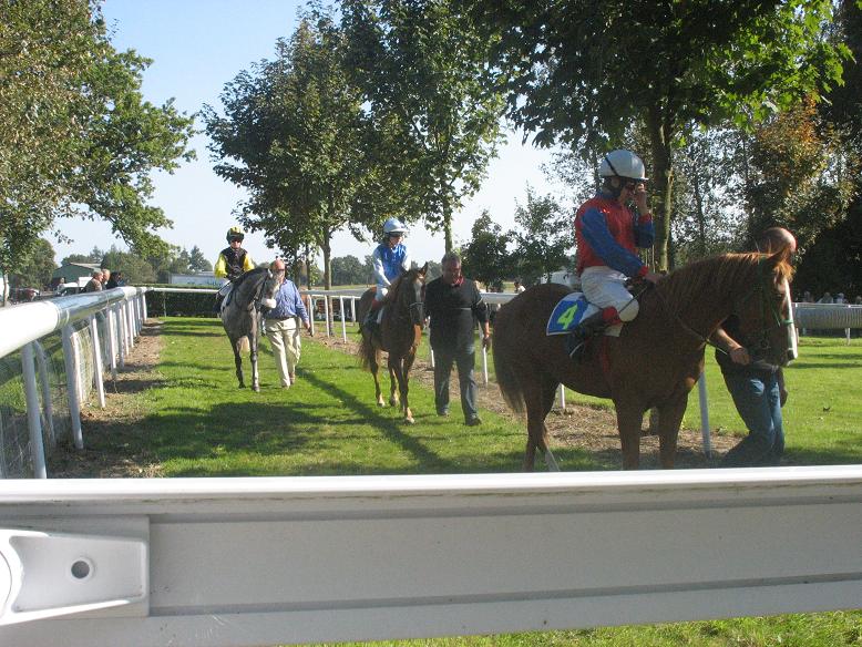 course de ponney 5.JPG