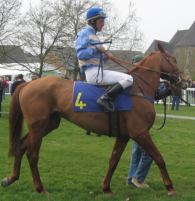 Sennones-22mars QuickCarmont (1).jpg
