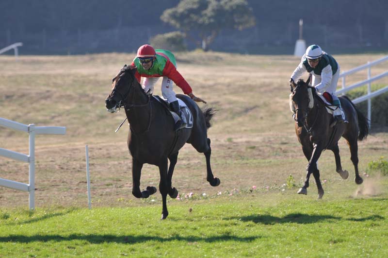 65 l'arrivee 4e course.jpg