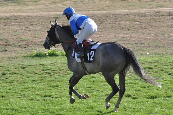 78 Athenae_L Verger 5e course.jpg