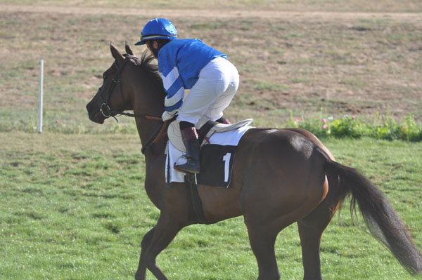 81 Topaze Doree_C Baron 5e course.jpg