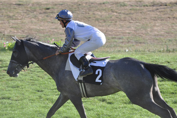 82 Diamond Fever_M Adrouin 5e course.jpg