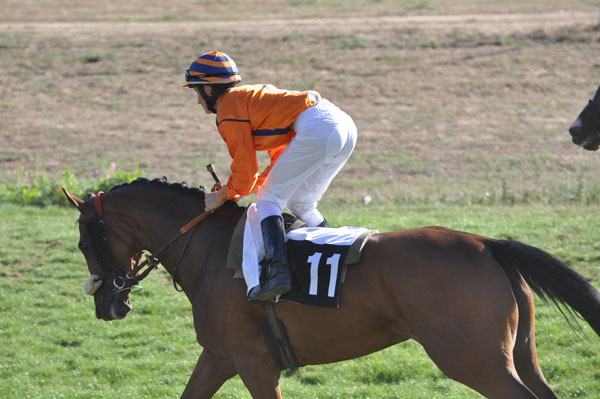 83 Soleilla_Y Barille 5e course.jpg