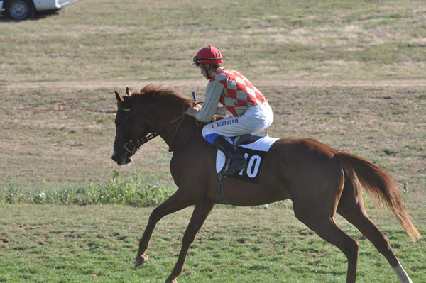 84 Blonde de Carcouet_A Bourgeais 5e course.jpg