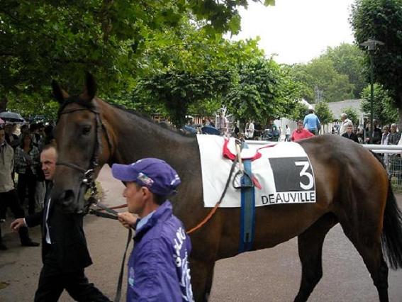 GOLDIKOVA Prix Rothschild A 2010.jpg