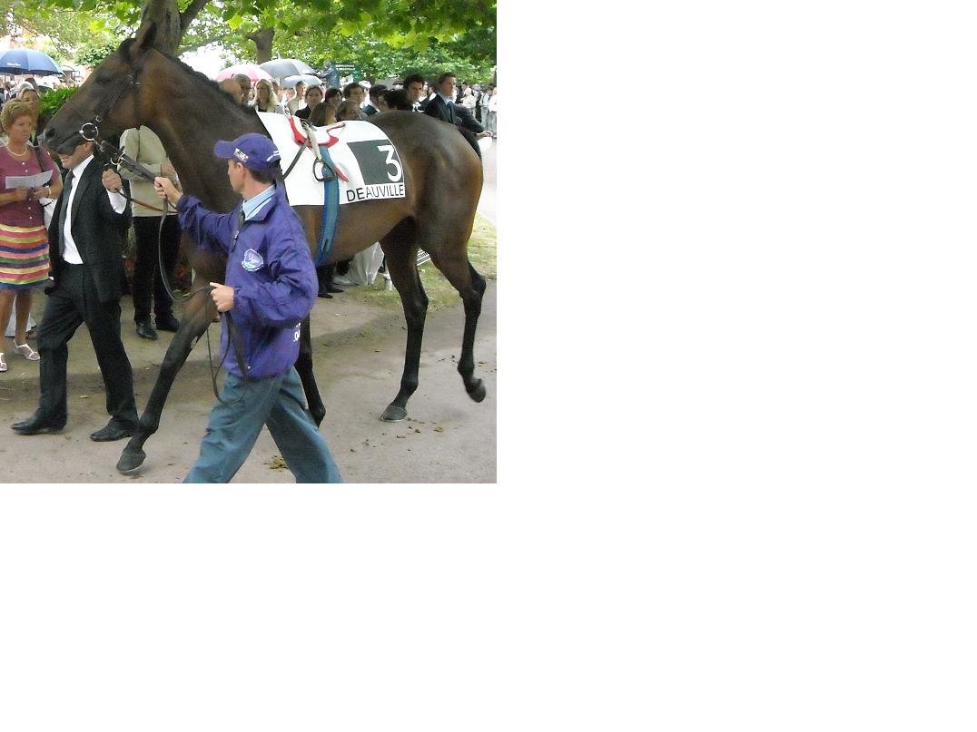 GOLDIKOVA au rond.jpg