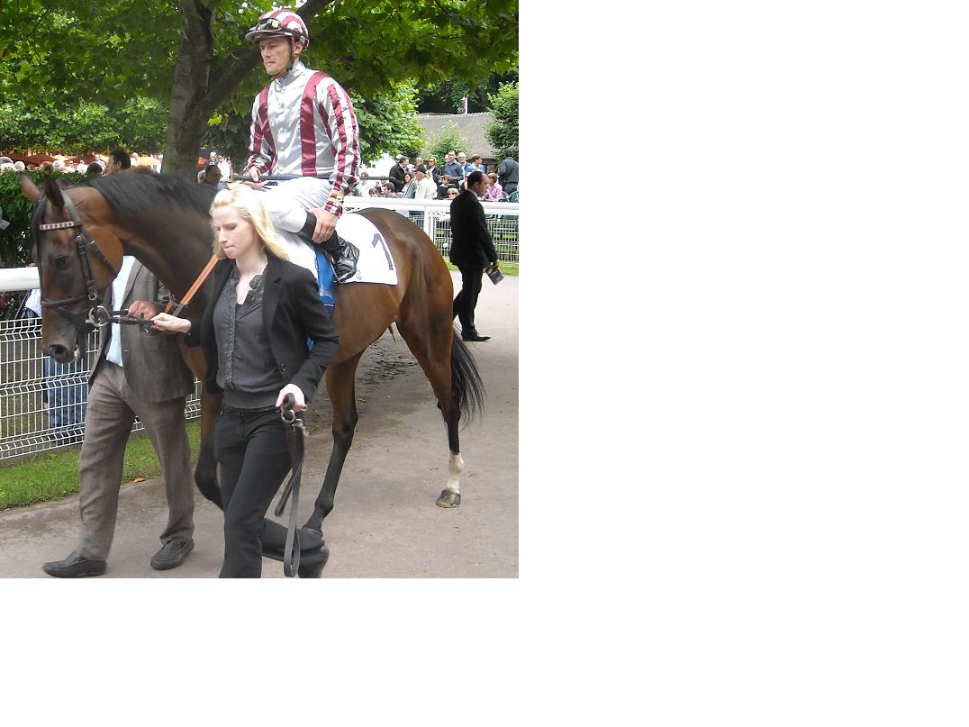 Cirrus des Aigles Prix Gontaut-Biron 2011a.jpg