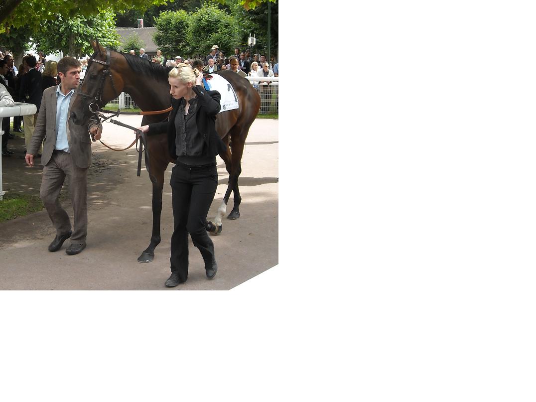 Cirrus des Aigles Prix Gontaut-Biron 2011b.jpg