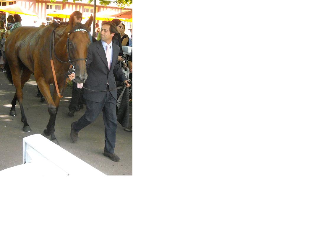 Immortal Verse Prix du Haras de Fresnay-Le-Buffard Jaques Le Marois 2011c.jpg