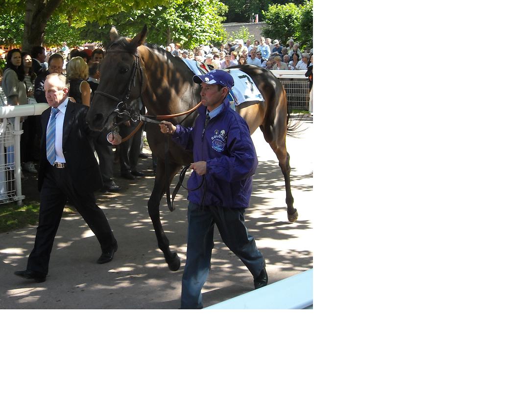 Goldikova Prix Jaques Le Marois 2011.jpg