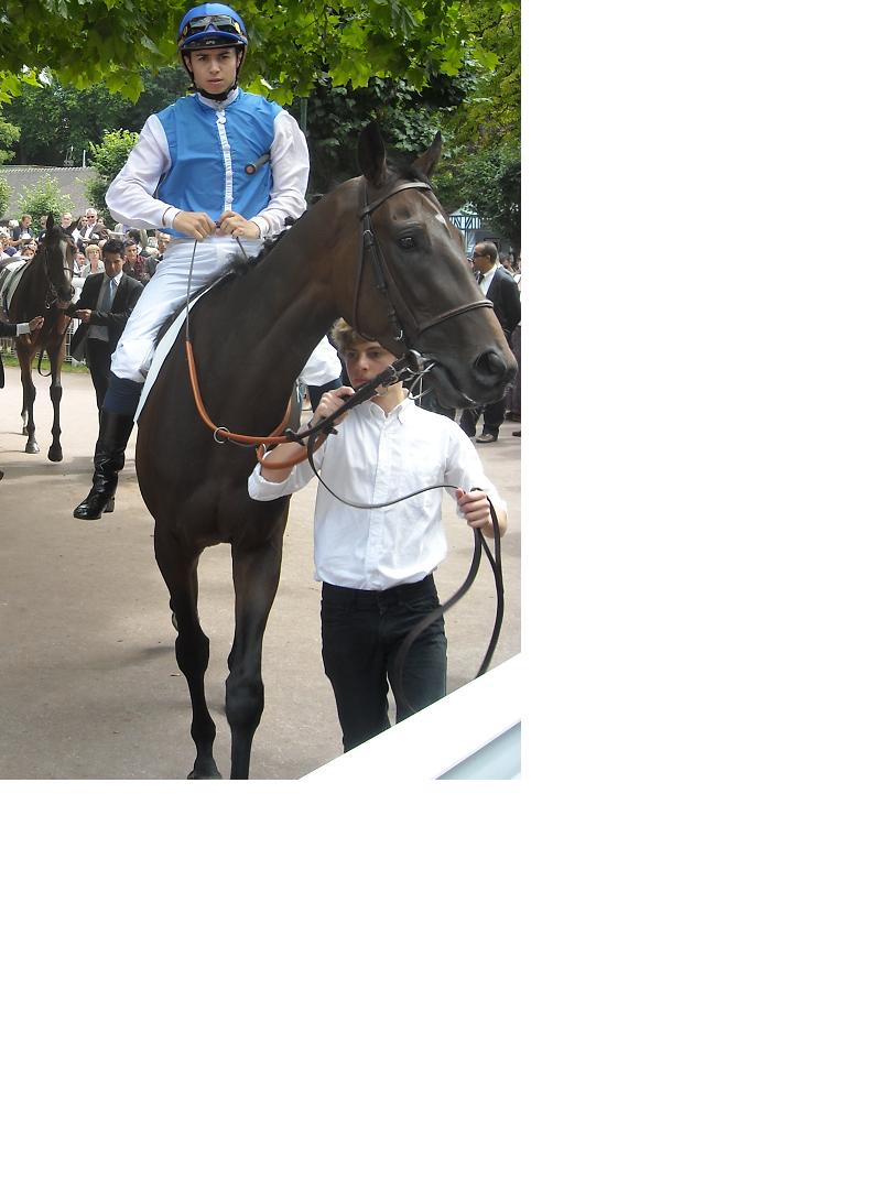 Slow Pace Prix Guillaume d'Ornano 2011.jpg