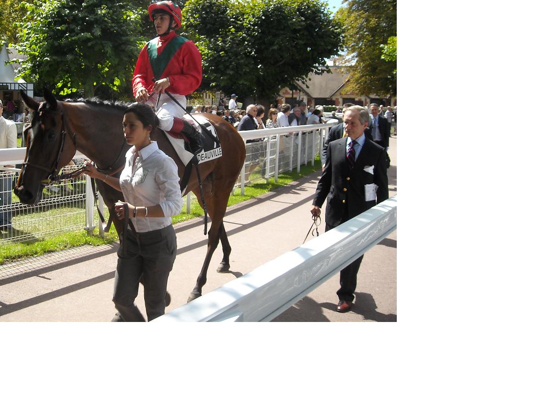 Golden Lilac Prix Guillaume d'Ornano 2011.jpg