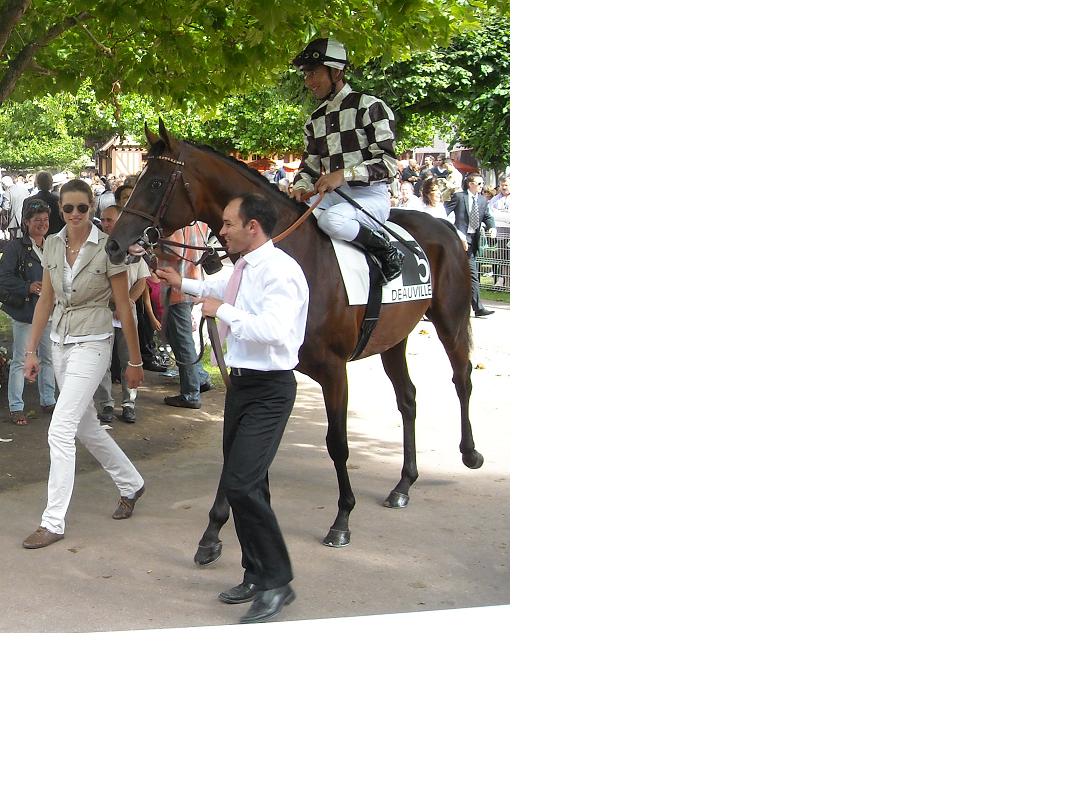 Gaily Game Prix Michel Houyvet 2011.jpg